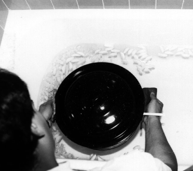 Fichier:1 1 1 Brew day9.jpg