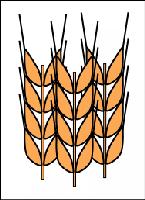 4 21 2 Common problems9.jpg