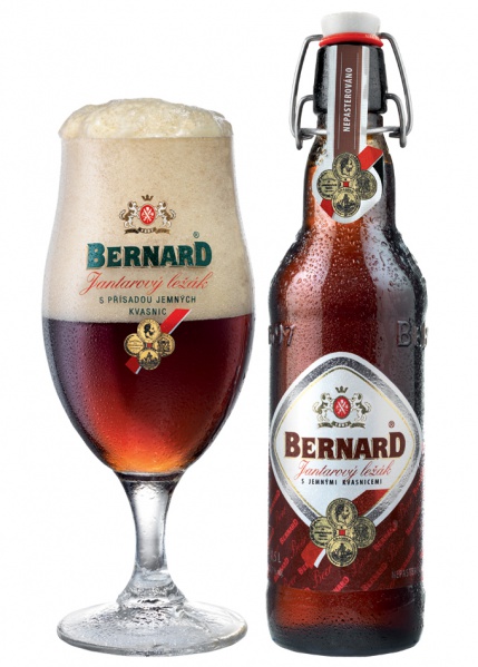 Fichier:Bernard jantarovy.jpg