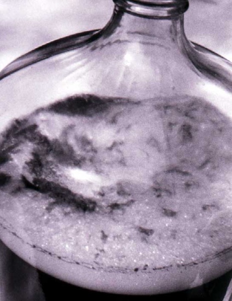 Fichier:1 1 2 Fermentation2.jpg